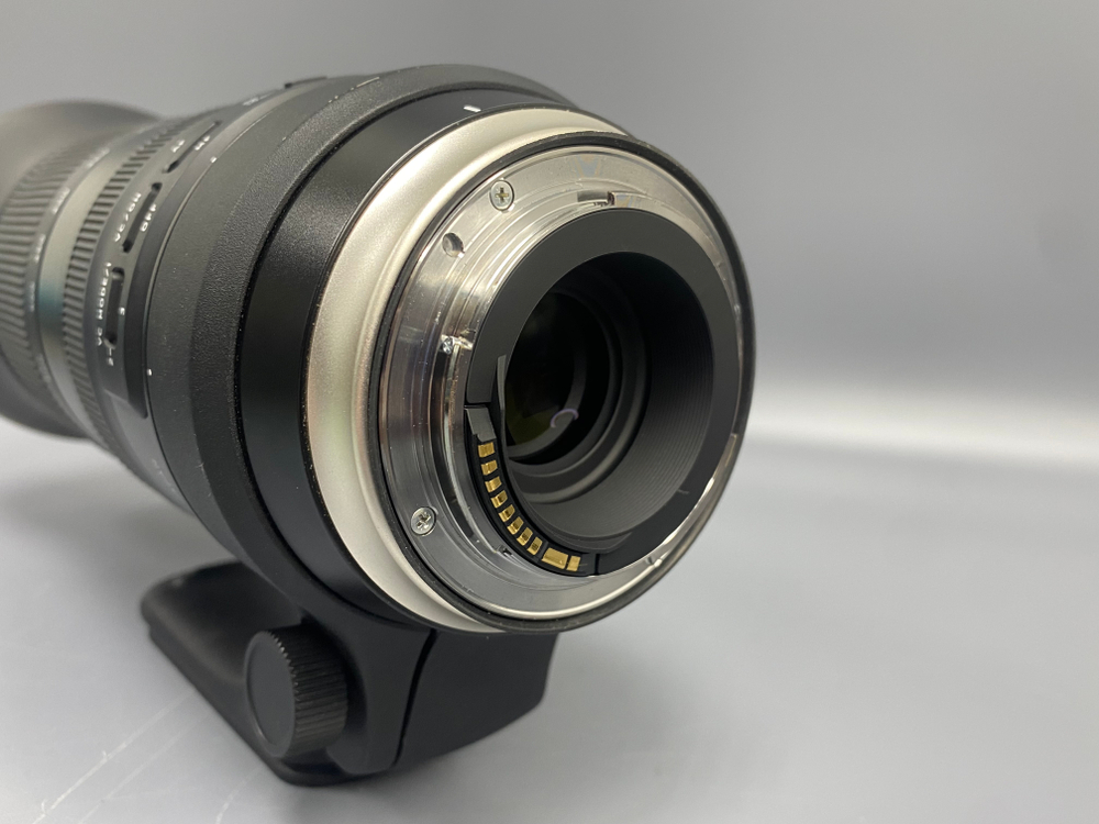 Tamron 150-600mm G2 Canon