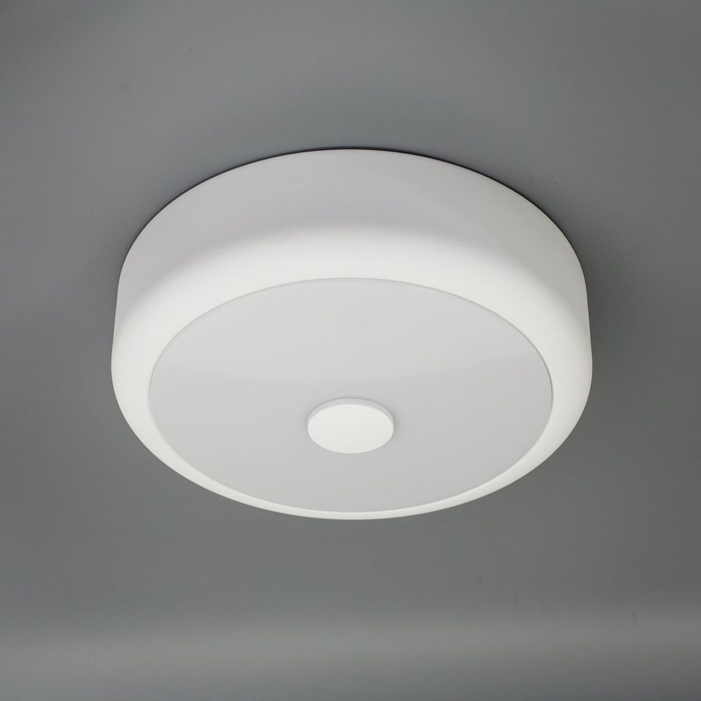 Citilux Фостер-1 CL706110 LED Светильник с диммером Белый