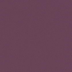 Велюр Blitz / Блитц