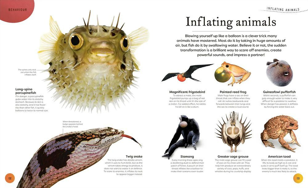 Странная и красивая природа: Рассказы о более чем 100 уникальных животных, растений и феноменальных существ