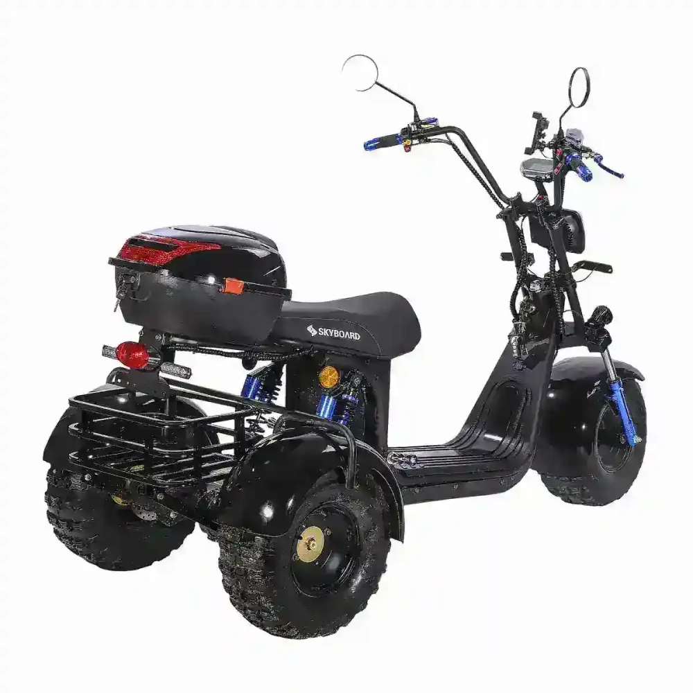 Электроскутер SKYBOARD CITYCOCO TRIKE BR40-3000 PRO FAST OFF-ROAD