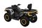 Квадроцикл BRP Can-Am Outlander Max XT-P 1000R (2024) (ПСМ)
