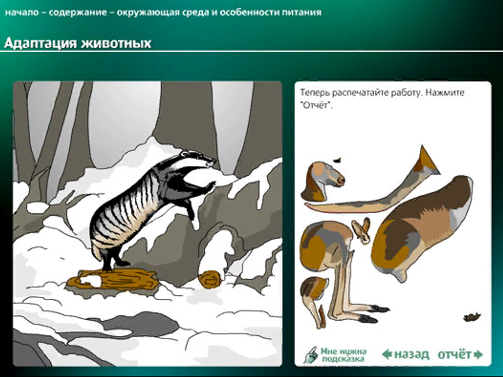 Интерактивные творческие задания "Биология. 7–9  класс"