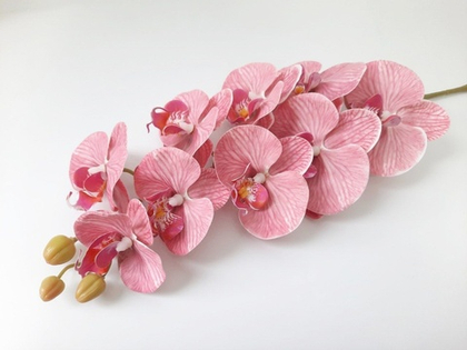 Орхидея "Перфект" 05