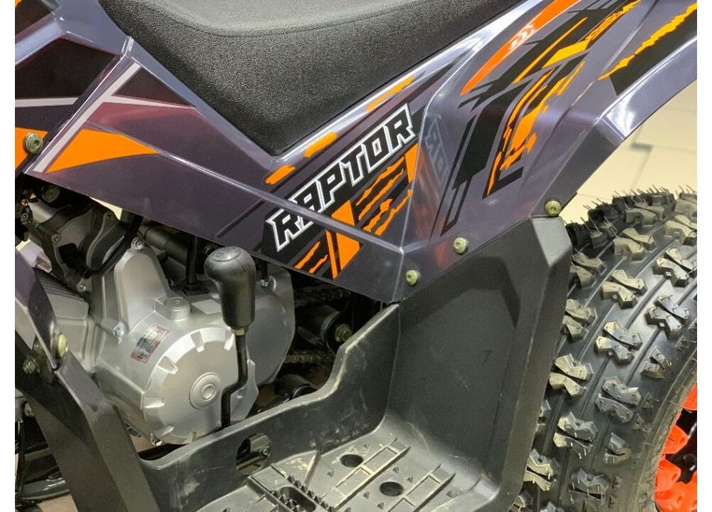 Квадроцикл RAPTOR 125
