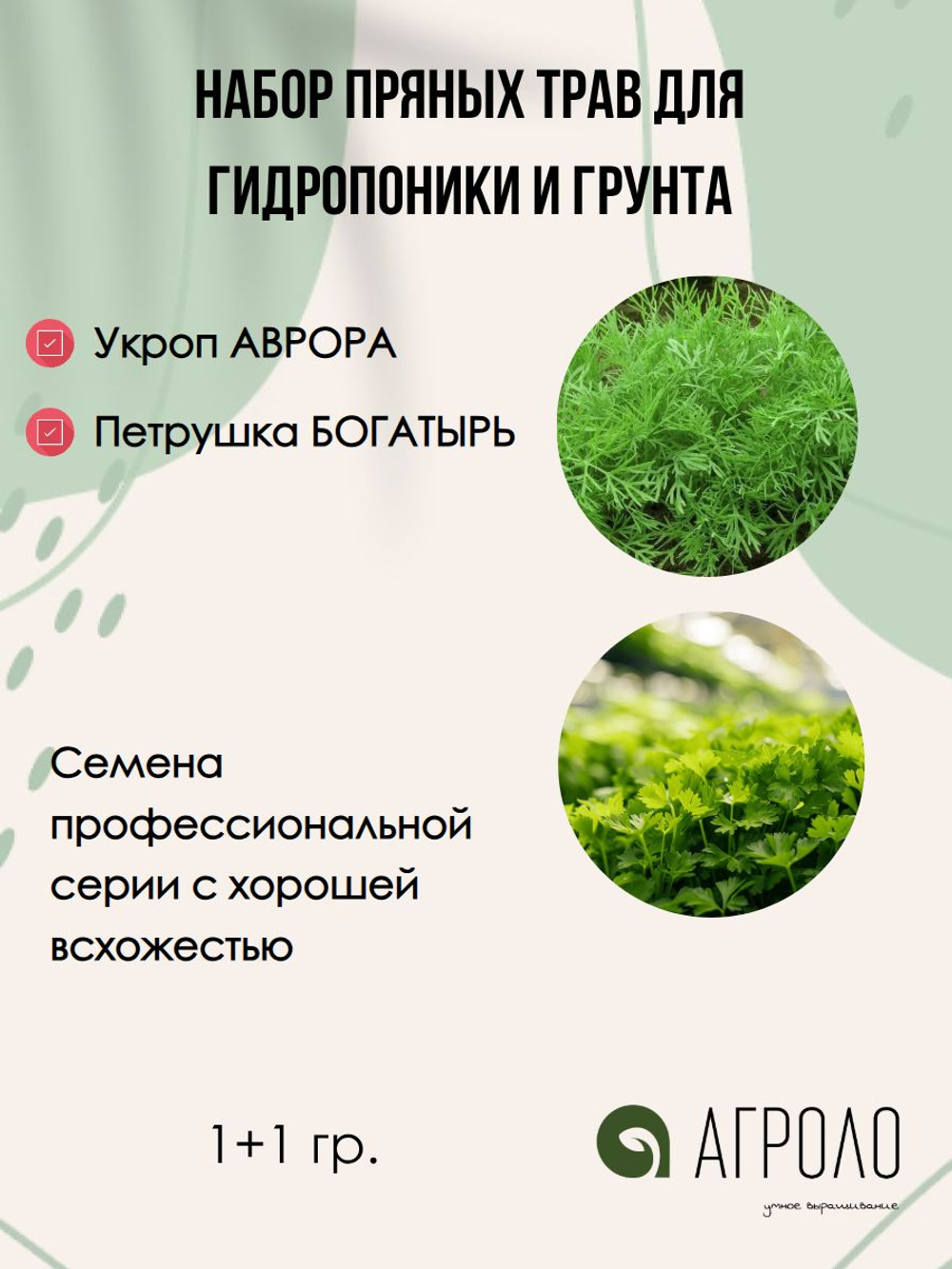 Набор семян зелени для выращивания в гидропонике и в грунте 7 упаковок: базилик, салаты, руккола, щавель , 7 гр.