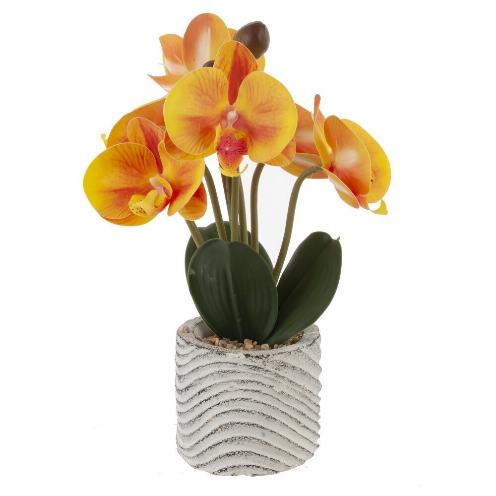 GAEM Цветочная композиция "Орхидея", L14 W13 H29 см