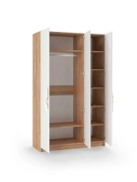 Шкаф распашной 120х50х200 трёхдверный Olivia 3