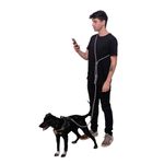 Поводок handsfree TITANIUM GREY Zee.Dog