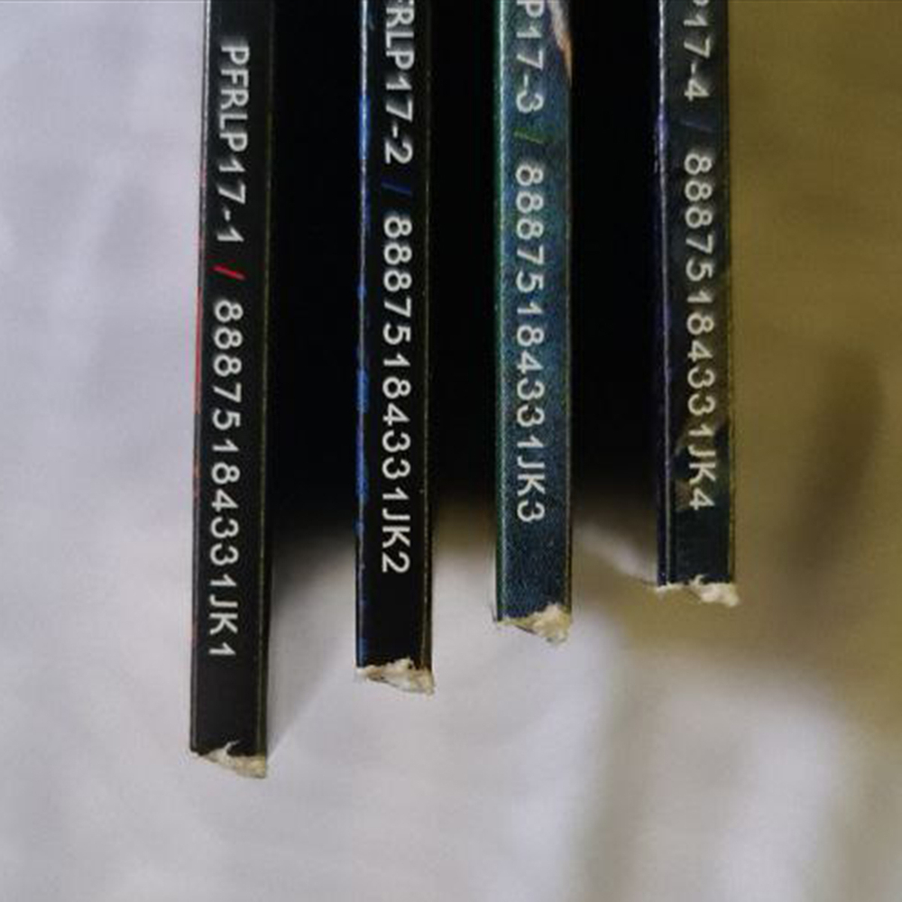 Pink Floyd / Pulse (4LP)