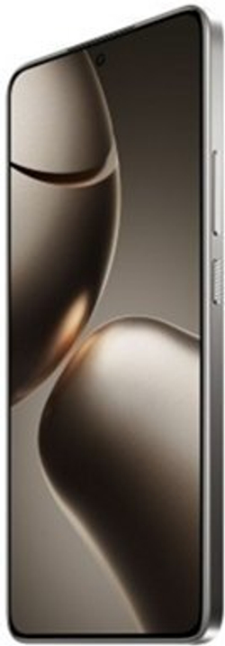 Xiaomi 14T 12/256Gb EU Titan Gray