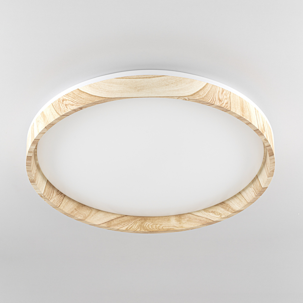 Потолочный светодиодный светильник Citilux ENZO CL753452G