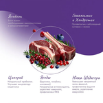 Корм для стерилизованных кошек с чувствительным пищеварением 1,5 кг Best Dinner Adult Sterilized Cat, ягненок и ягоды