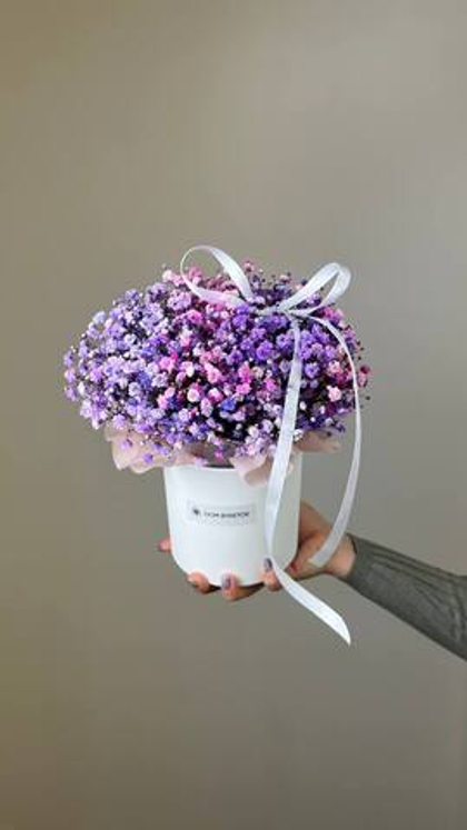 Коробочка гипсофил