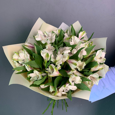 Букет 11 белых альстромерий