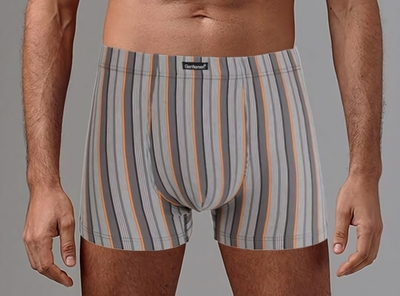 Классические трусы-боксеры в полоску (Размер: XXL) (Цвет: кофейный)