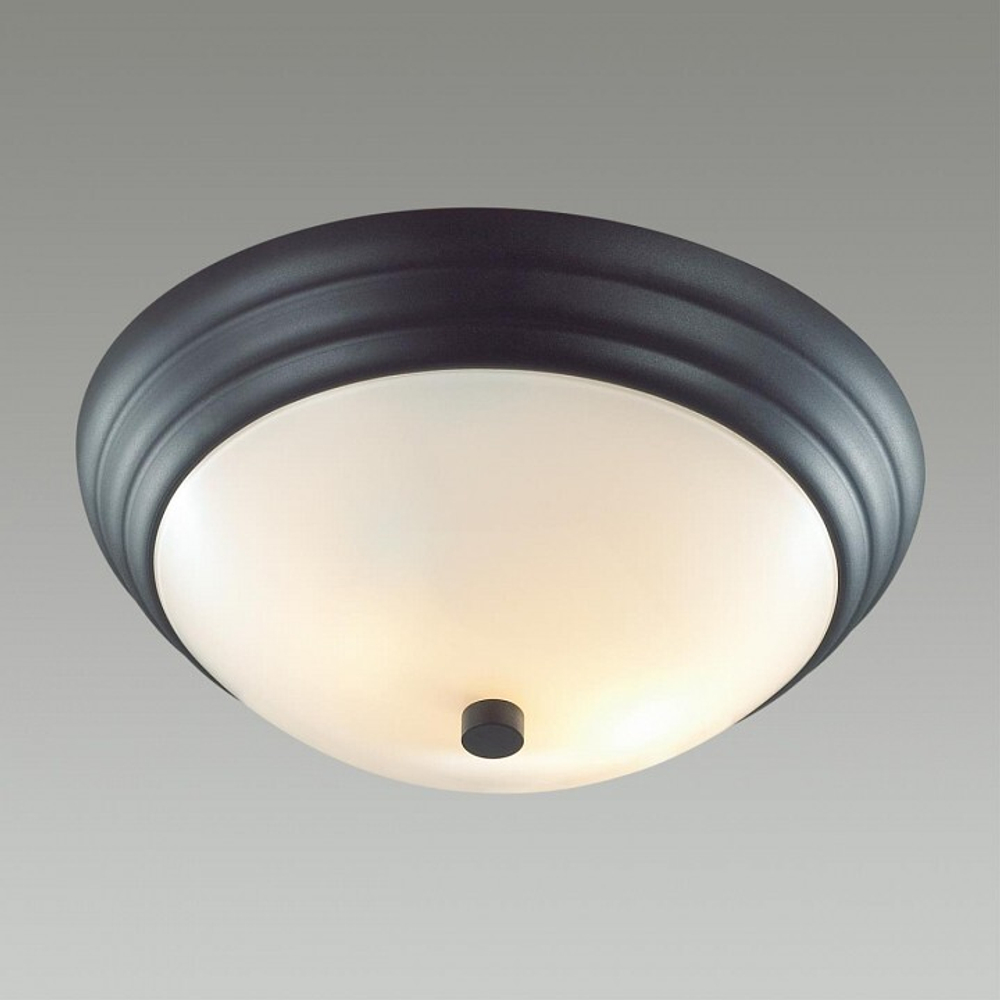 Накладной светильник Lumion 5263/2C