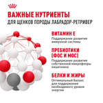 Royal Canin Labrador Retriever Puppy Лабрадор Ретривер Паппи Корм сухой для щенков породы Лабрадор Ретривер до 15 месяцев 12кг