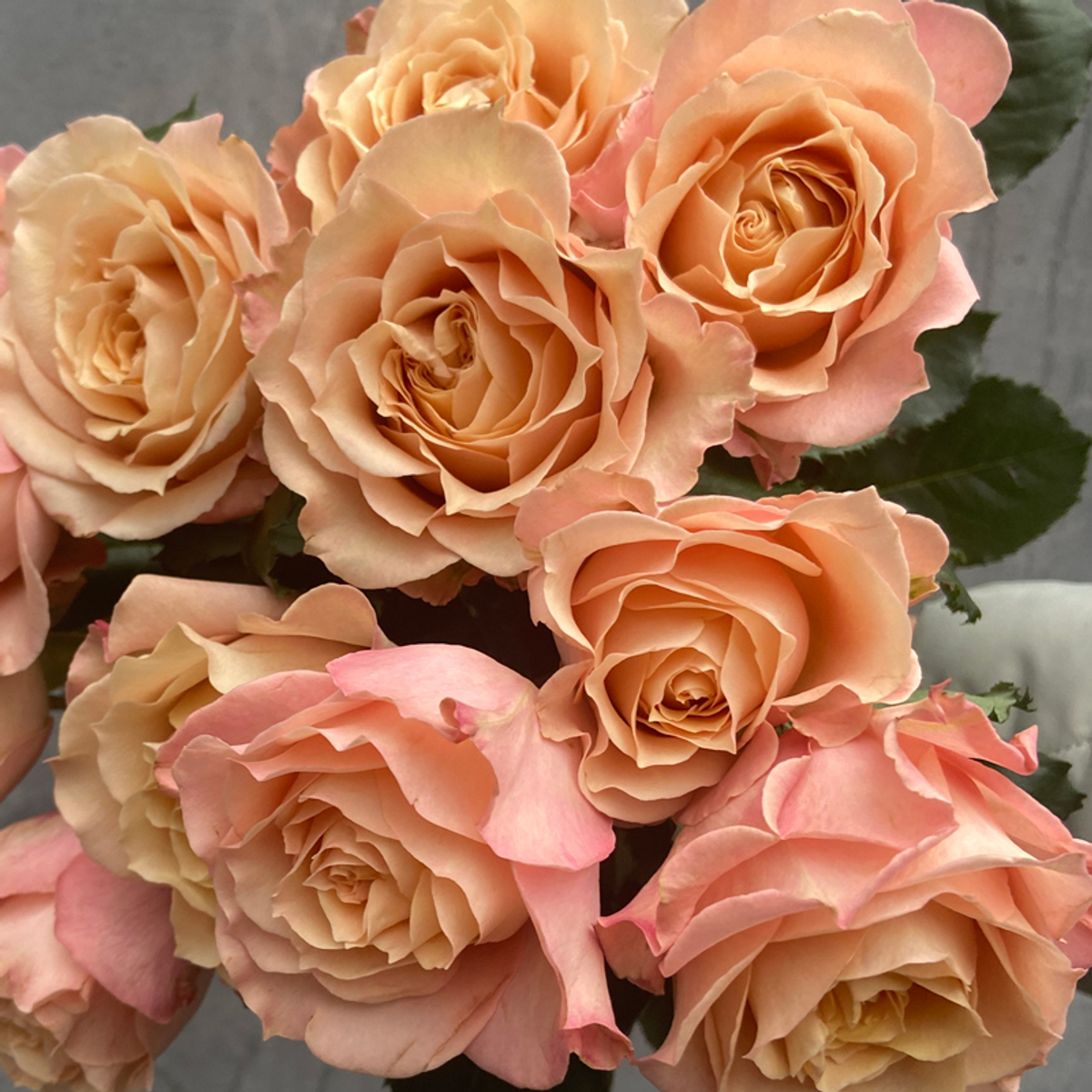 Сахара Сенсейшн — букет интерьерных роз