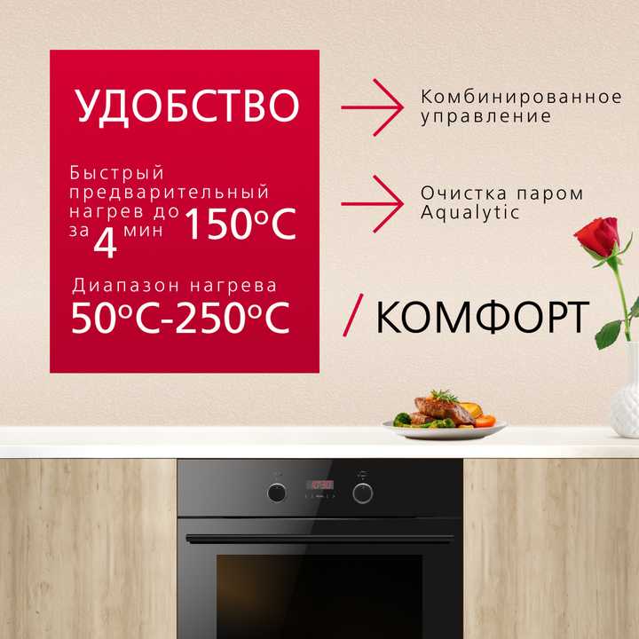 Духовой шкаф Hansa BOES68433