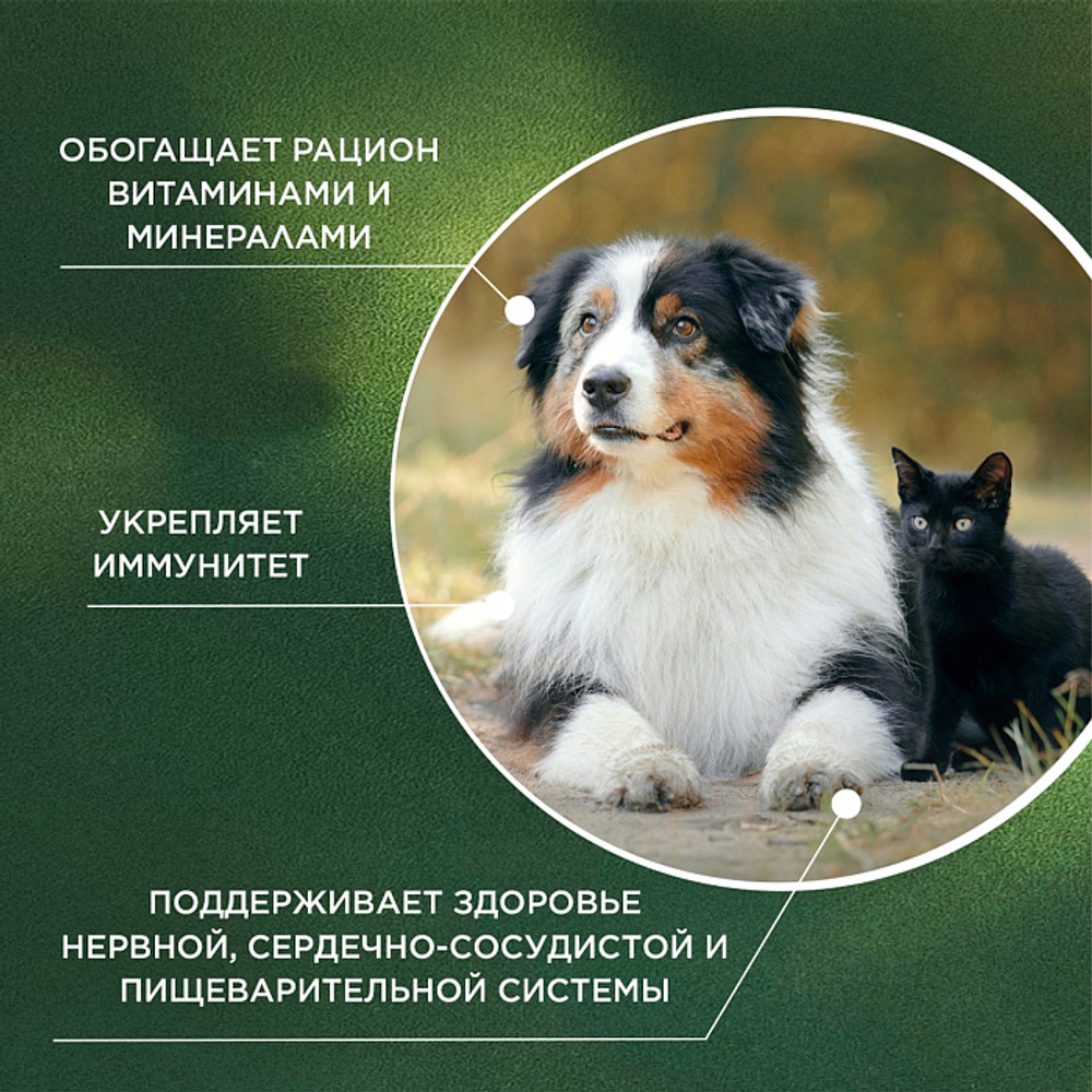 Функциональная кормовая добавка для собак и кошек ProPhyto Мультивитамин, 40 таблеток