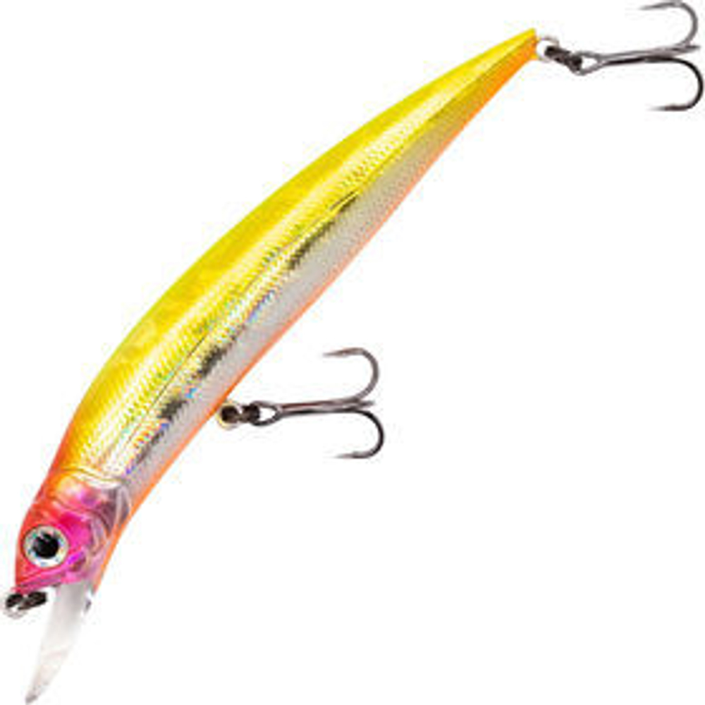 Воблер Fishycat Libyca 90SP R21