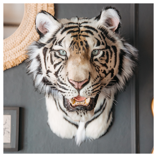 Реплика головы «Бенгальский тигр»