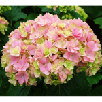 You & Me: Together/Ю энд ми Тугеде