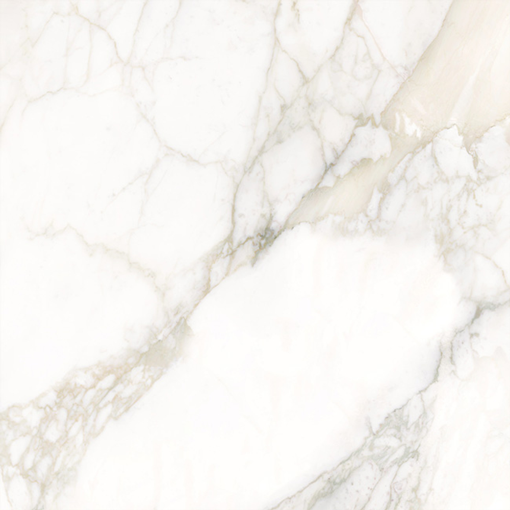 LCM Calacatta Luna 80x80