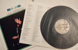 Винтажная виниловая пластинка LP Liza Minnelli (Japan 1980)