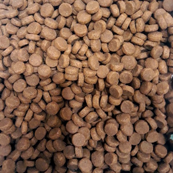 Уценка! Повр.упак. / Сухой корм ProBalance Gourmet Diet для взрослых кошек с говядиной и ягненком