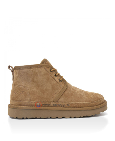 NEUMEL Chestnut