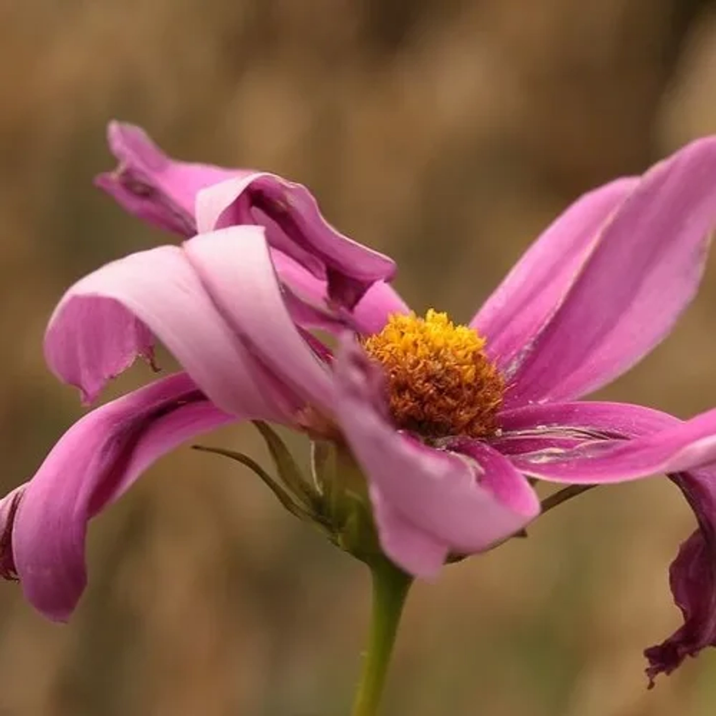 Первая новость магазина