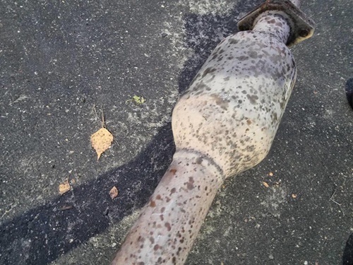 Катализатор Geely Atlas (2016-2022)