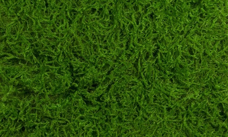 Коврик мха Листостебельный 1*1м 100-5