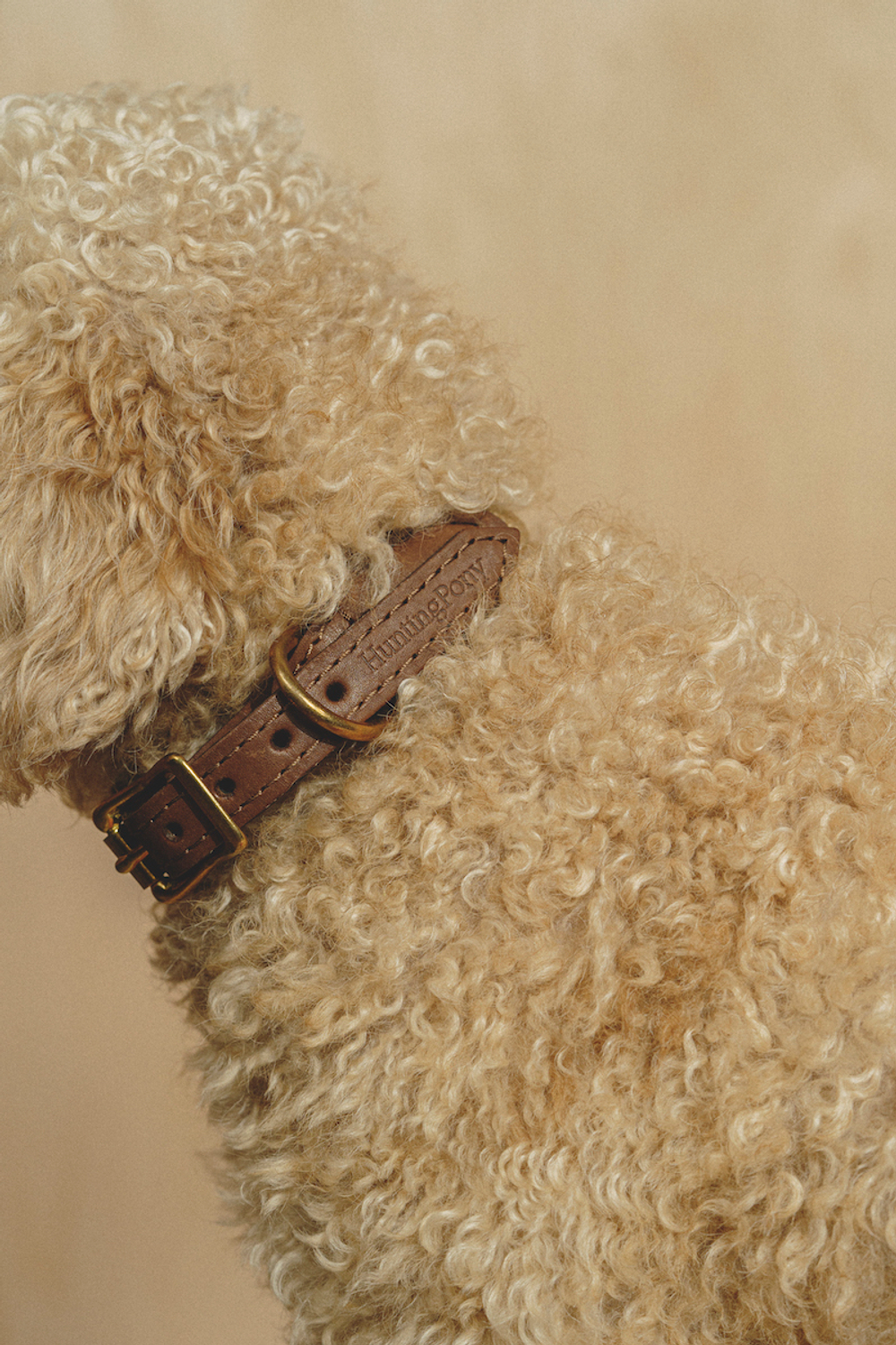 Ошейник "Пони-Макарони" Коричневый (бежевый канат)