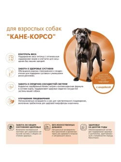 Сухой корм для собак породы Кане-корсо, с индейкой, 2,5 кг