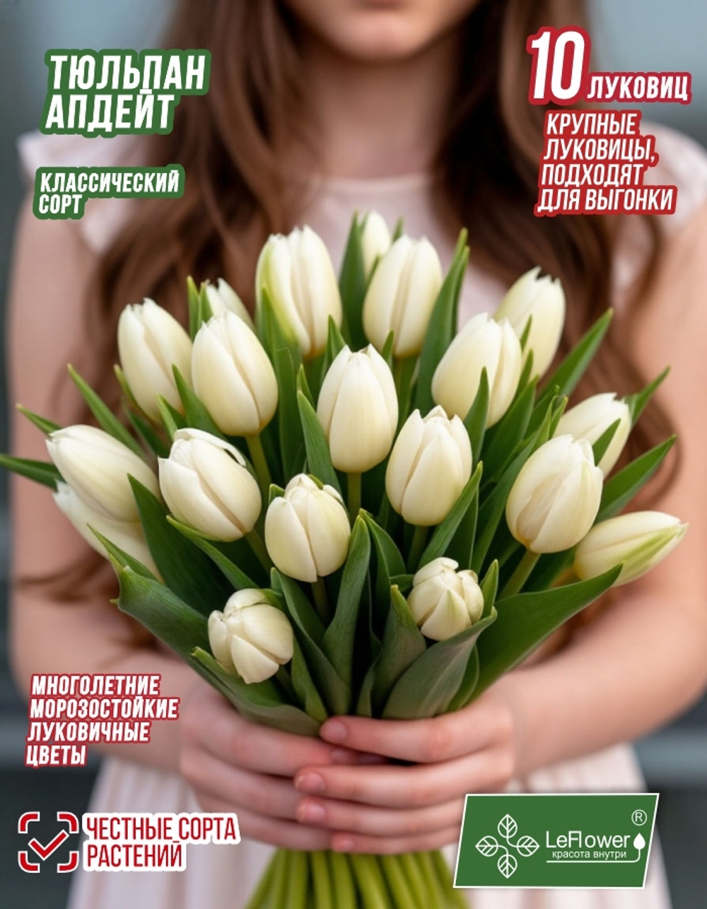 Тюльпан Луковица, Апдейт, 10шт крупные