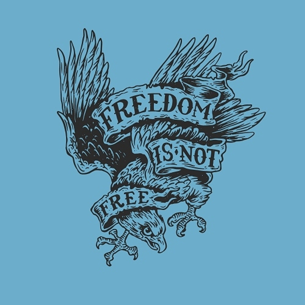 принт с орлом Freedom is not free голубой