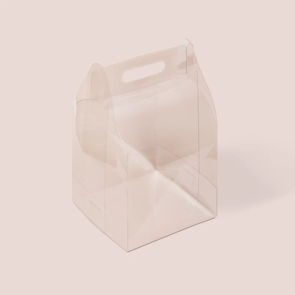 Переноска пластиковая 180*180*240 мм