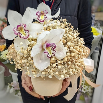 Композиция гипсофилы с орхидеями