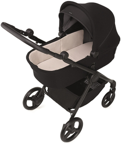 Детская коляска Anex IQ Basic 2 в 1 Nyx