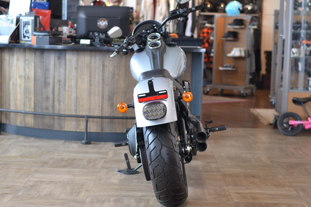 Low Rider S 114 (FXLRS), Softail Harley-Davidson 2020 Barracuda Silver