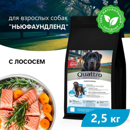 Корм сухой для взрослых собак породы Ньюфаундленд, премиум полнорационный комплекс, с лососем, 2,5 кг, QUATTRO