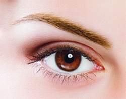 Пигмент Красивое Лицо Всегда Грецкий орех "Walnut" (пластик), 10мл