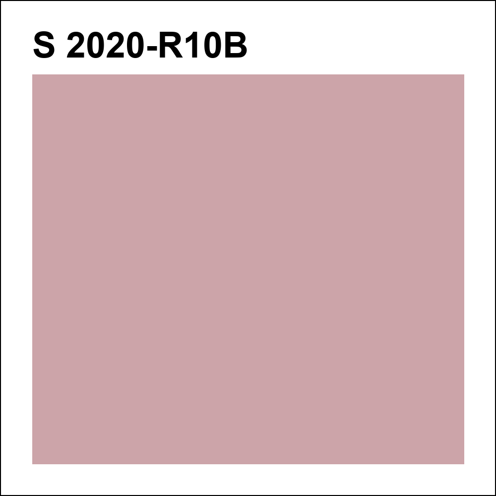 S 2020-R10B за кг