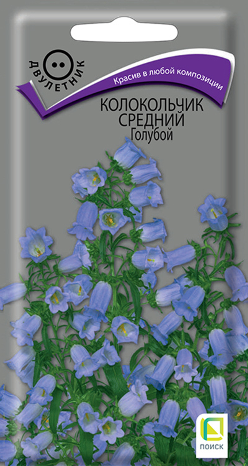 Колокольчик средний Голубой