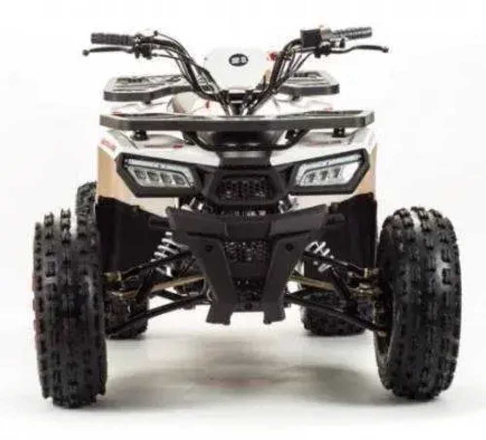 Квадроцикл Motoland 125 WILD (2020 г.)
