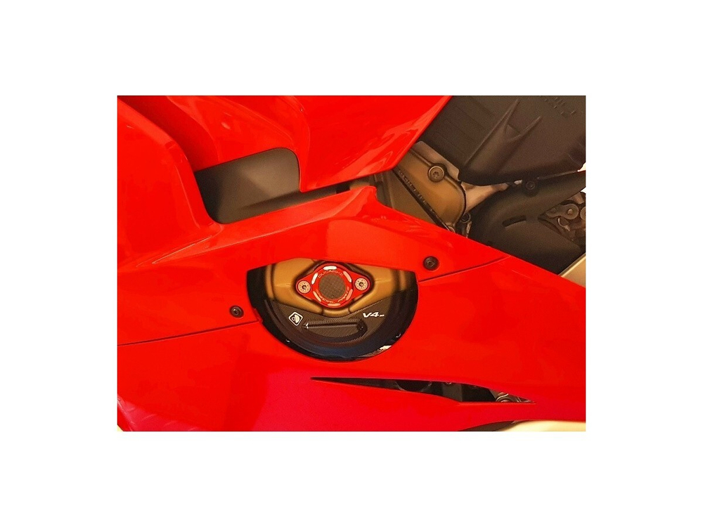 SLI06D DBK ALTERNATOR COVER PROTECTOR (P V4, SF V4)