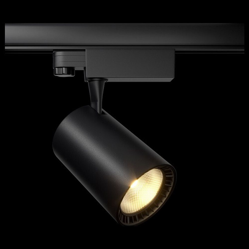 Светильник на штанге Maytoni Vuoro TR029-3-20W3K-B